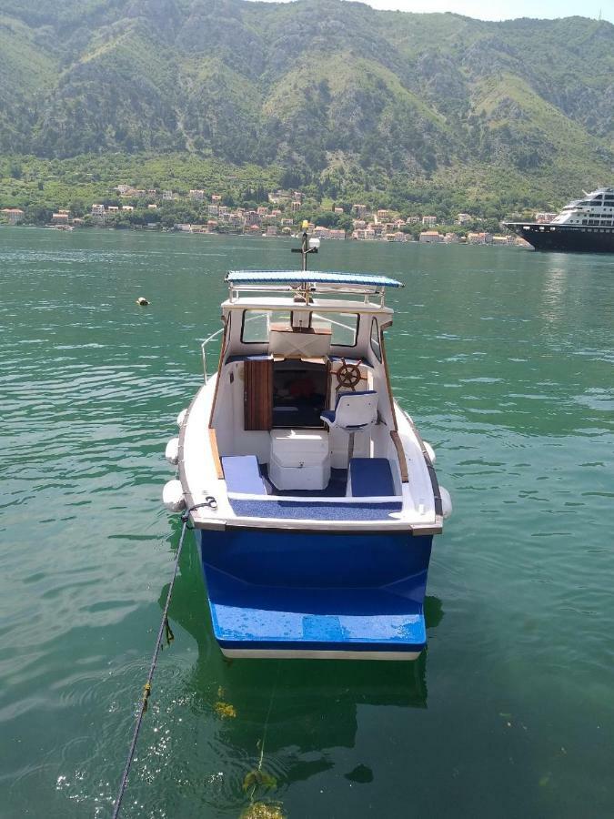 Apartment Kralj Kotor Bagian luar foto