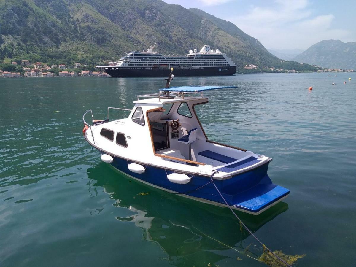 Apartment Kralj Kotor Bagian luar foto